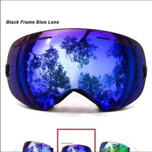 Snowboard/ski goggles
